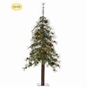 Tree Mixed Country Pine 4 ft