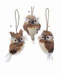 Ornament Baby Owls Assorted