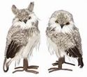 Owls Fur Cream Assorted