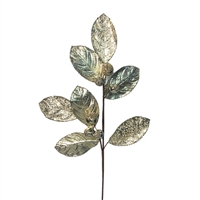 Magnolia Leaf Champagne