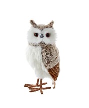 Owl Gray White Color