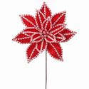 Poinsettia Candy Snow Red White