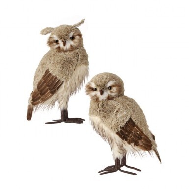 Owl X-Large Chalet Beige