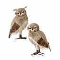 Owl X-Large Chalet Beige