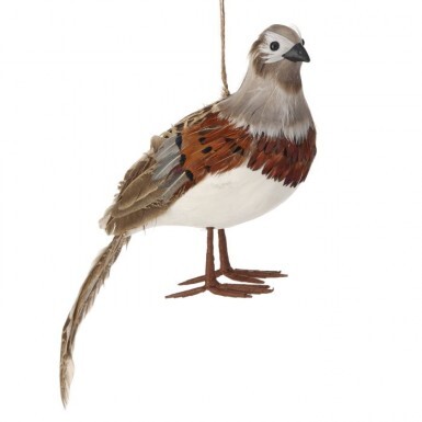 Ornament Quail Feathered