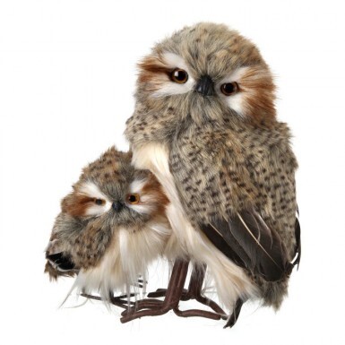 Owl Spotted With Baby