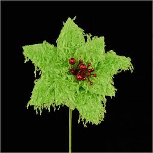 Poinsettia Green Furry