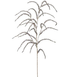 Spray Amaranthus Hanging