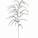 Spray Amaranthus Hanging